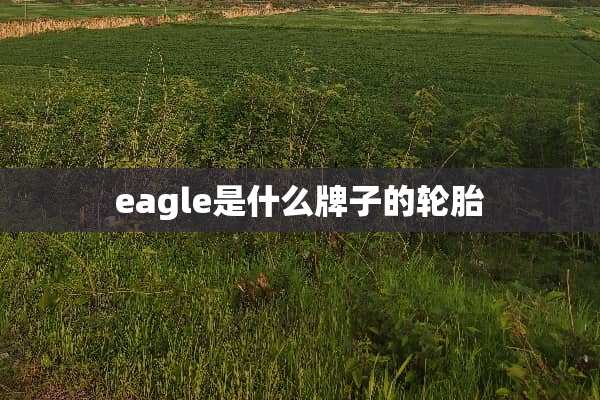 eagle是什么牌子的轮胎