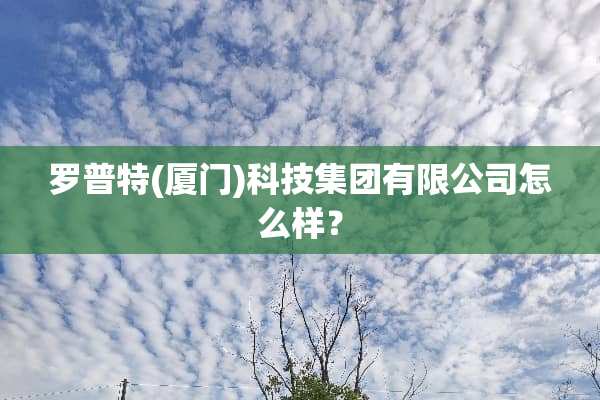 罗普特(厦门)科技集团有限公司怎么样？