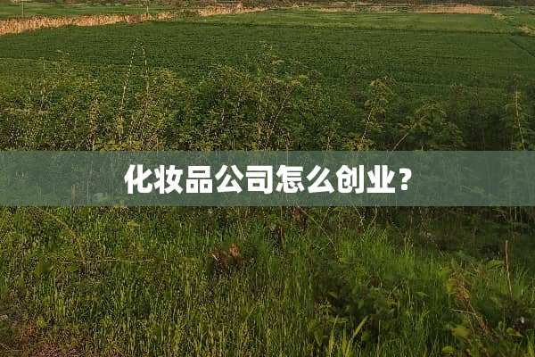 化妆品公司怎么创业？