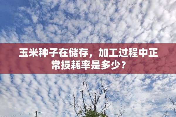 玉米种子在储存，加工过程中正常损耗率是多少？