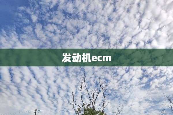 发动机ecm