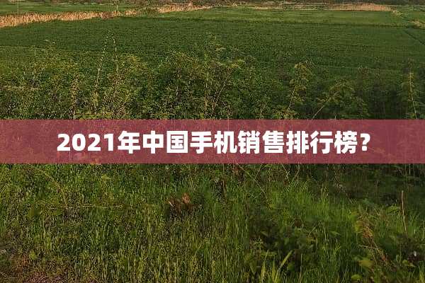 2021年中国手机销售排行榜？