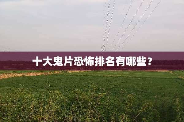 十大鬼片恐怖排名有哪些？