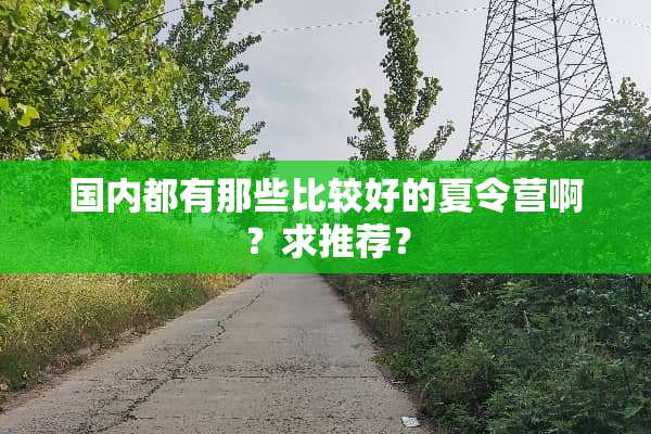 国内都有那些比较好的夏令营啊？求推荐？