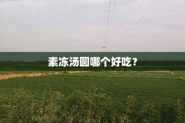 素冻汤圆哪个好吃？