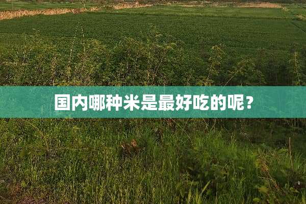 国内哪种米是最好吃的呢？