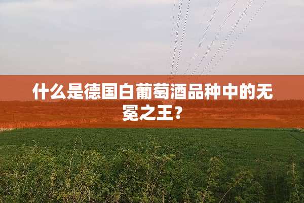 什么是德国白葡萄酒品种中的无冕之王？