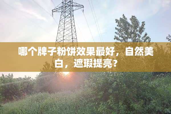 哪个牌子粉饼效果最好，自然美白，遮瑕提亮？