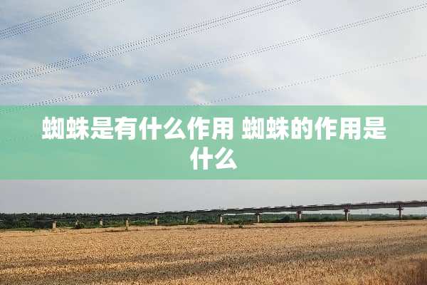 蜘蛛是有什么作用 蜘蛛的作用是什么
