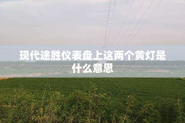 现代途胜仪表盘上这两个黄灯是什么意思