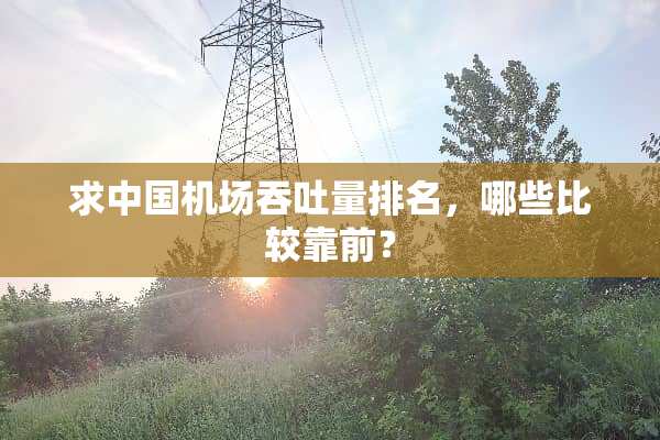 求中国机场吞吐量排名，哪些比较靠前？