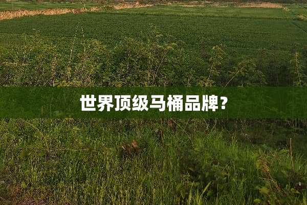 世界**马桶品牌？