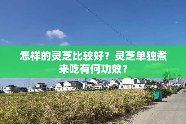 怎样的灵芝比较好？灵芝单独煮来吃有何功效？