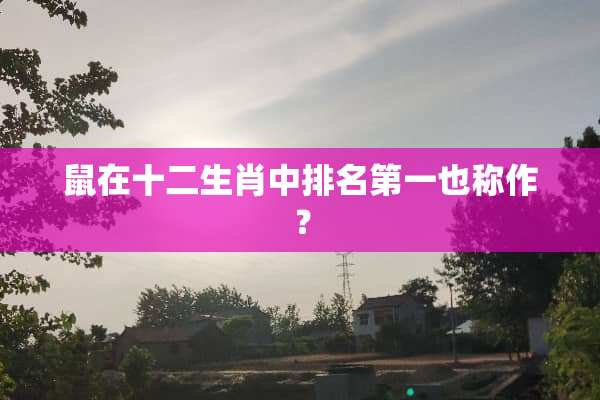 鼠在十二生肖中排名第一也称作？