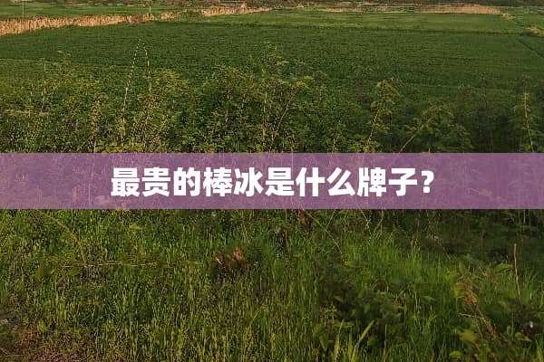 最贵的棒冰是什么牌子？