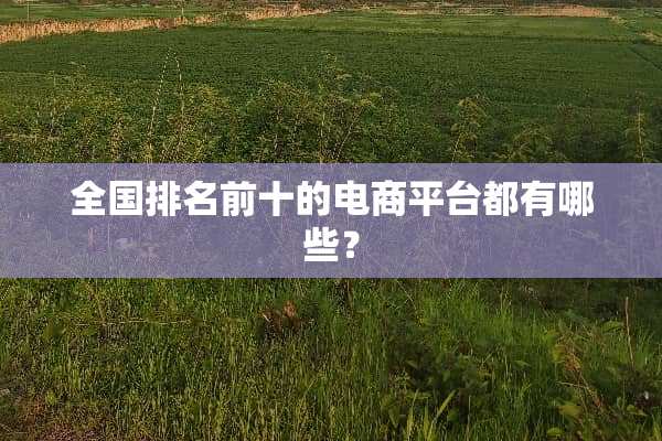 全国排名前十的电商平台都有哪些？