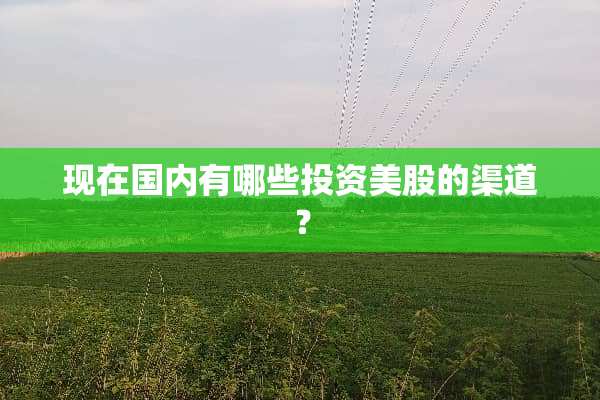 现在国内有哪些投资美股的渠道？