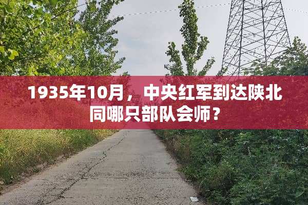1935年10月，****到达陕北同哪只**会师？