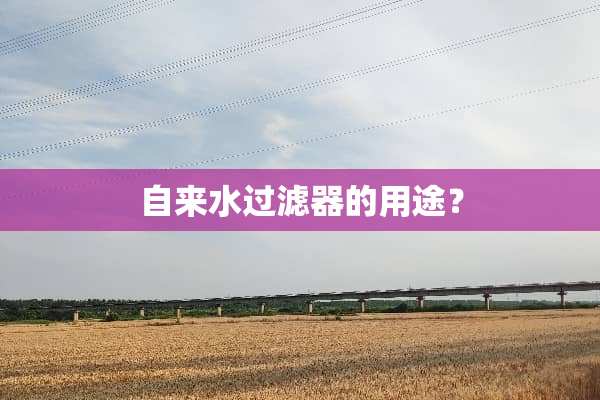 自来水过滤器的用途？