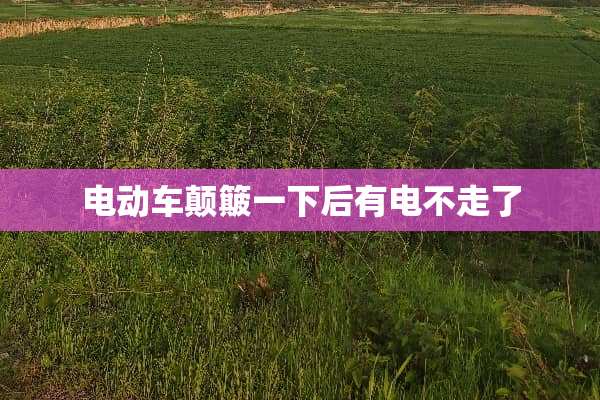 电动车颠簸一下后有电不走了
