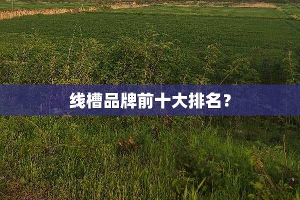 线槽品牌前十大排名？