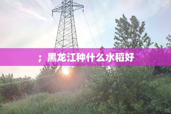 ；黑龙江种什么水稻好