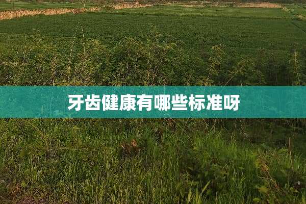 牙齿健康有哪些标准呀