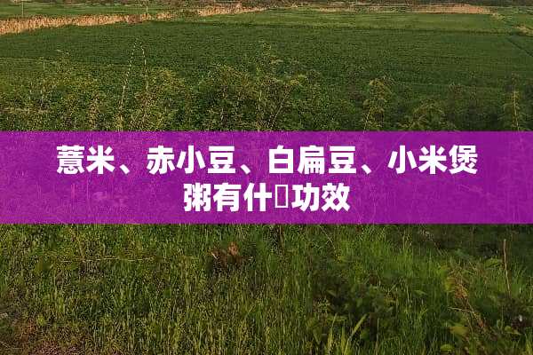 薏米、赤小豆、白扁豆、小米煲粥有什麼功效
