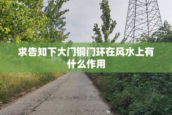 求告知下大门铜门环在风水上有什么作用