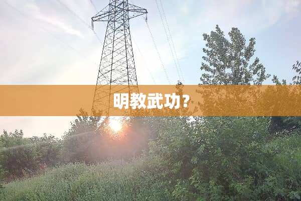 明教武功？