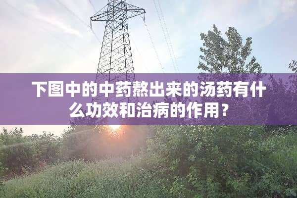 下图中的中药熬出来的汤药有什么功效和治病的作用？