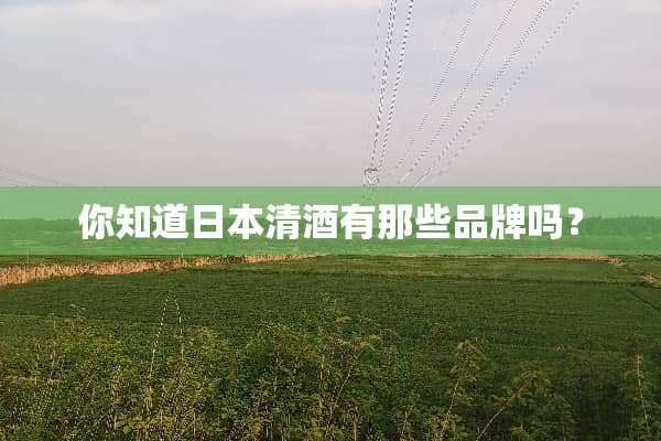 你知道日本清酒有那些品牌吗？