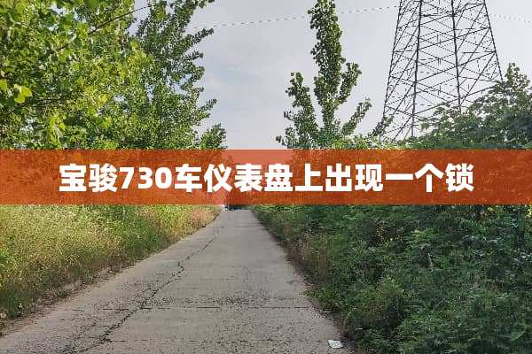 宝骏730车仪表盘上出现一个锁