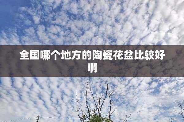 全国哪个地方的陶瓷花盆比较好啊