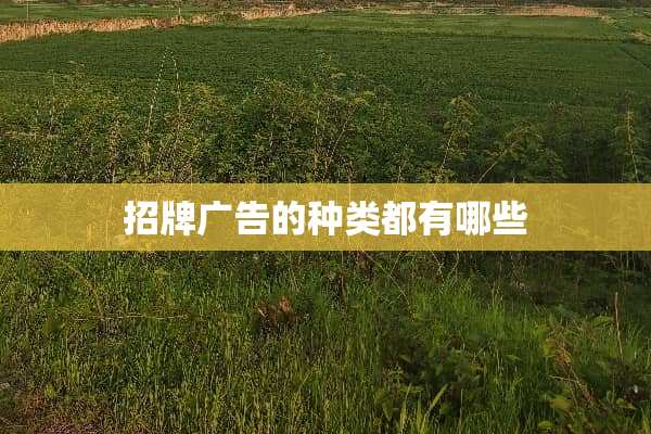 招牌广告的种类都有哪些