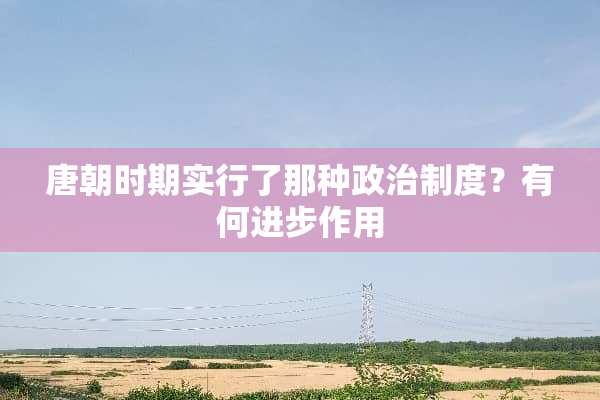 唐朝时期实行了那种**制度？有何进步作用