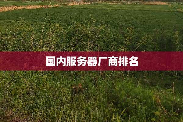 国内服务器厂商排名
