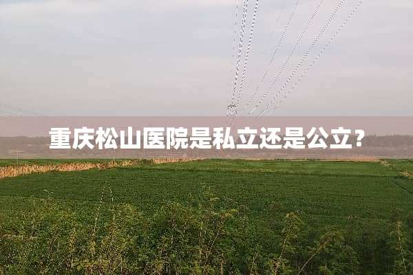 重庆松山医院是私立还是公立？