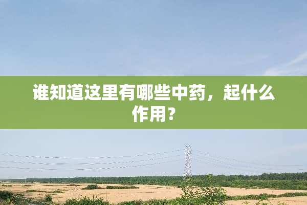 谁知道这里有哪些中药，起什么作用？