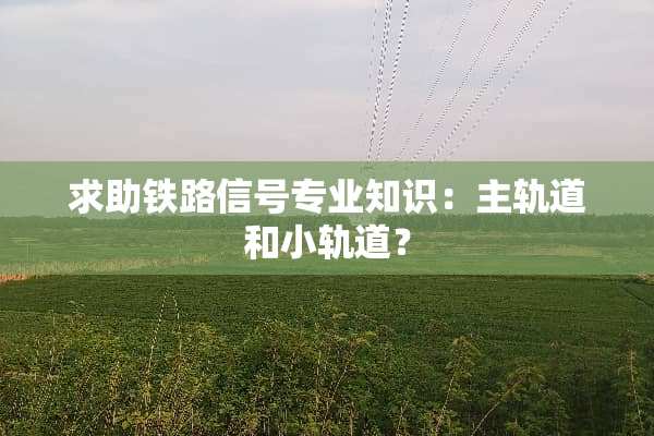 求助铁路信号专业知识：主轨道和小轨道？