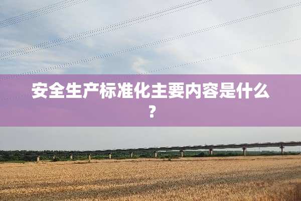安全生产标准化主要内容是什么？