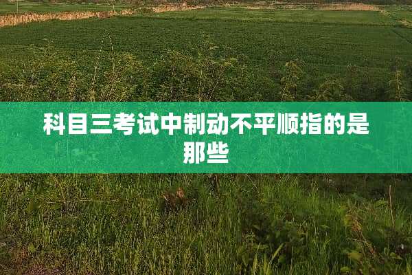 科目三考试中制动不平顺指的是那些