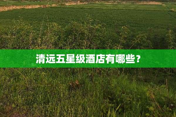 清远五星级酒店有哪些？