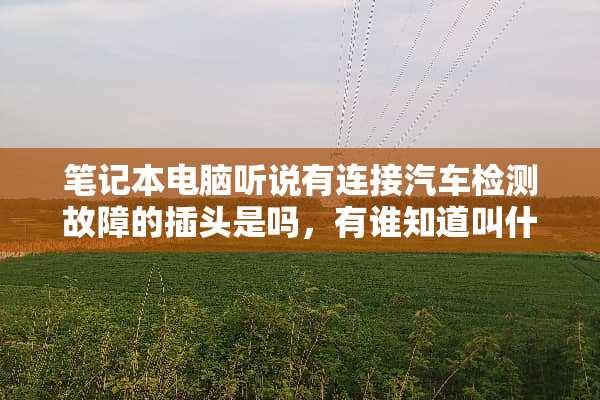 笔记本电脑听说有连接汽车检测故障的插头是吗，有谁知道叫什么