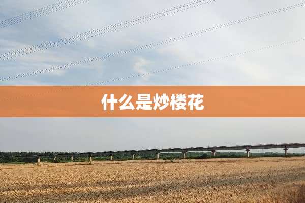 什么是炒楼花
