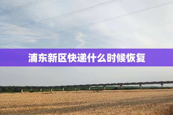 浦东新区快递什么时候恢复