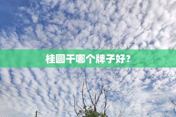 桂圆干哪个牌子好？