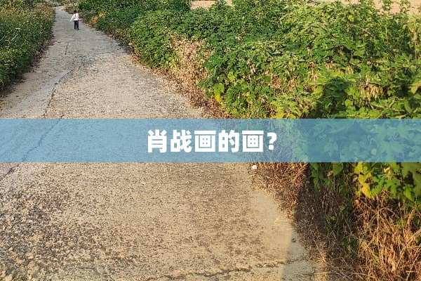 肖战画的画？
