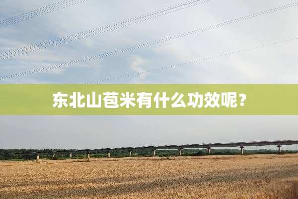 东北山苞米有什么功效呢？