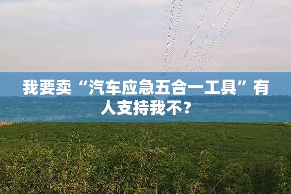 我要卖“汽车应急五合一工具”有人支持我不？
